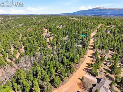 278 Cherry Lake Dr, Divide, CO 80814 photo 8