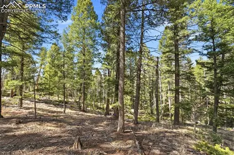 278 Cherry Lake Dr, Divide, CO 80814 photo 19