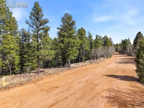 278 Cherry Lake Dr, Divide, CO 80814 photo 13
