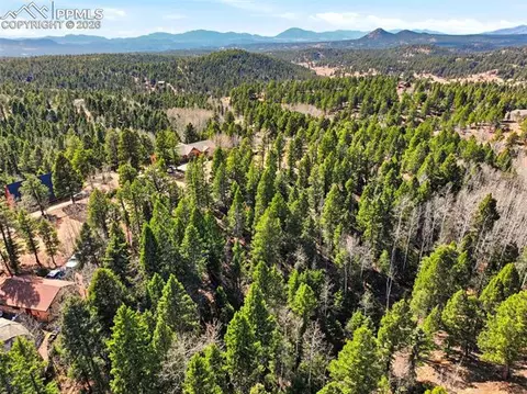 278 Cherry Lake Dr, Divide, CO 80814 photo 10