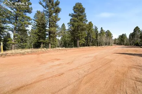 278 Cherry Lake Dr, Divide, CO 80814 photo 12