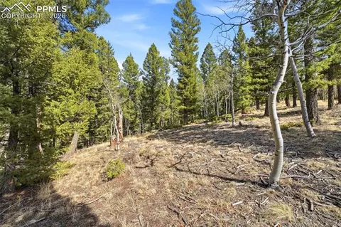 278 Cherry Lake Dr, Divide, CO 80814 photo 20