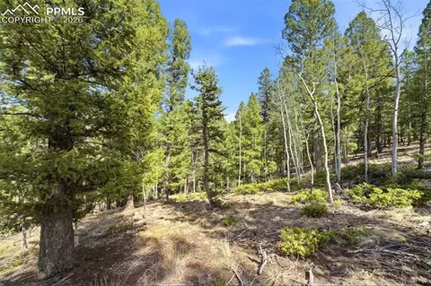 278 Cherry Lake Dr, Divide, CO 80814 photo 2