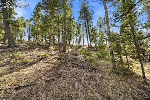 278 Cherry Lake Dr, Divide, CO 80814 photo 17