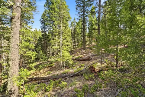 278 Cherry Lake Dr, Divide, CO 80814 photo 15