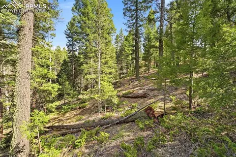 278 Cherry Lake Dr, Divide, CO 80814 photo 15