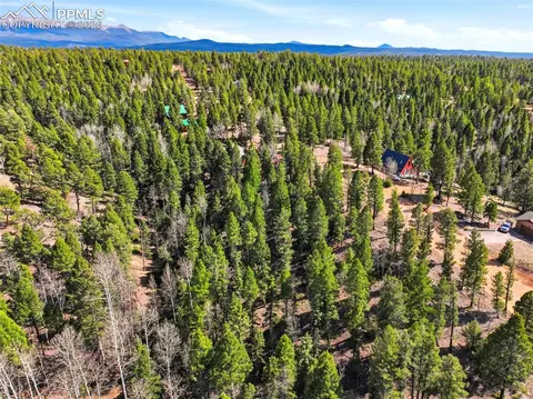 278 Cherry Lake Dr, Divide, CO 80814 photo 4