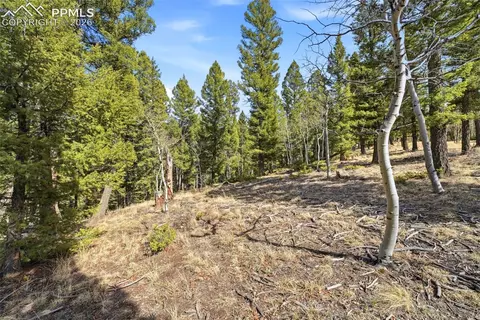 278 Cherry Lake Dr, Divide, CO 80814 photo 20