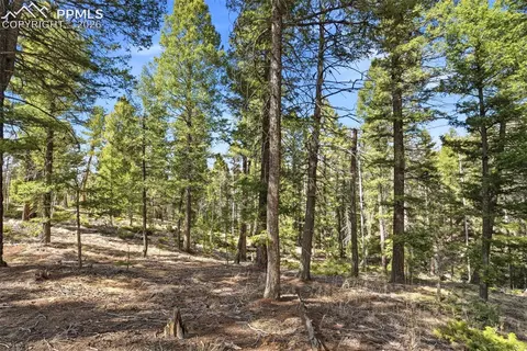 278 Cherry Lake Dr, Divide, CO 80814 photo 19