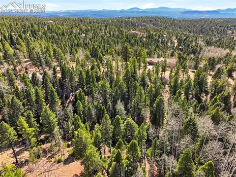 278 Cherry Lake Dr, Divide, CO 80814 photo 9