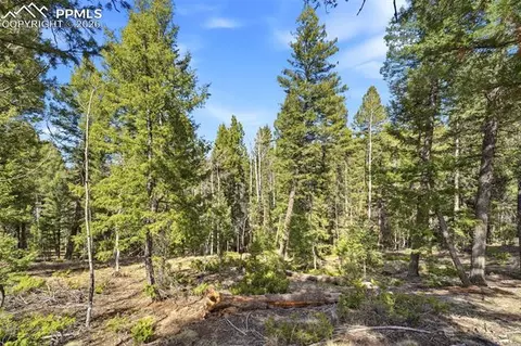 278 Cherry Lake Dr, Divide, CO 80814 photo 18