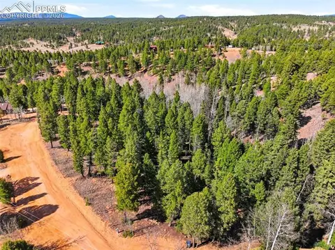 278 Cherry Lake Dr, Divide, CO 80814 photo 14