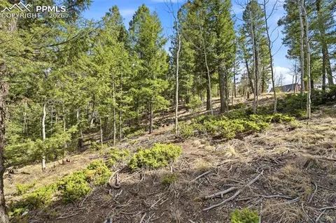 278 Cherry Lake Dr, Divide, CO 80814 photo 21