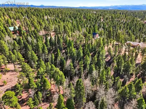 278 Cherry Lake Dr, Divide, CO 80814 photo 3