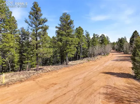 278 Cherry Lake Dr, Divide, CO 80814 photo 13