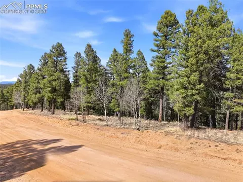 278 Cherry Lake Dr, Divide, CO 80814 photo 11