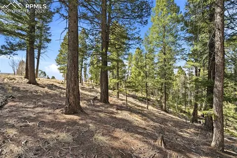 278 Cherry Lake Dr, Divide, CO 80814 photo 22