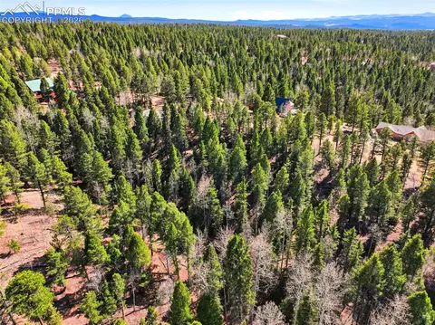 278 Cherry Lake Dr, Divide, CO 80814 photo 3