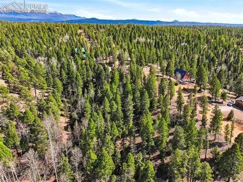 278 Cherry Lake Dr, Divide, CO 80814 photo 4