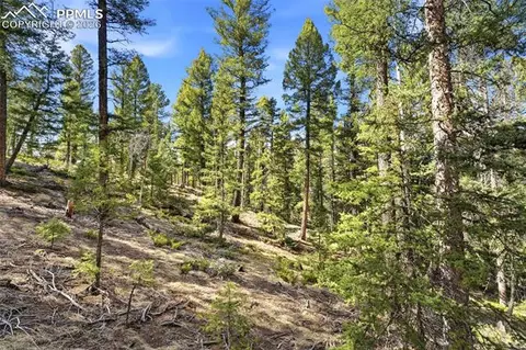 278 Cherry Lake Dr, Divide, CO 80814 photo 16