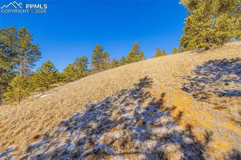 772 E Bison Creek Trl, Florissant, CO 80816