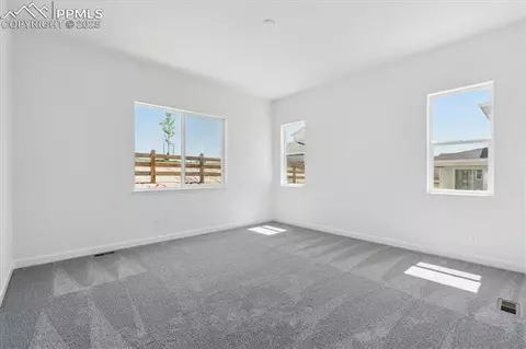 16995 Starfall Dr, Monument, CO 80132 photo 15
