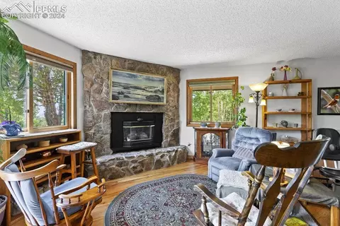 Living - 1040 Cantiberry Rd, Divide, CO 80814 photo 4 of 6