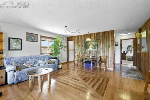 Other - 1040 Cantiberry Rd, Divide, CO 80814 photo 5 of 22