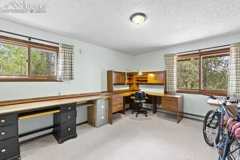 Other - 1040 Cantiberry Rd, Divide, CO 80814 photo 10 of 22