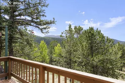 Exterior - 1040 Cantiberry Rd, Divide, CO 80814 photo 3 of 5