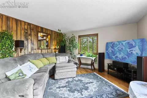 Living - 1040 Cantiberry Rd, Divide, CO 80814 photo 2 of 6