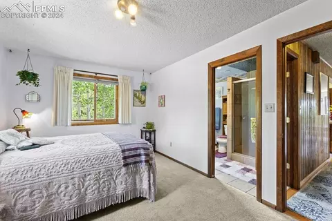 Bedroom - 1040 Cantiberry Rd, Divide, CO 80814 photo 2 of 3