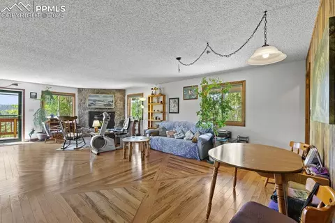 Living - 1040 Cantiberry Rd, Divide, CO 80814 photo 6 of 6