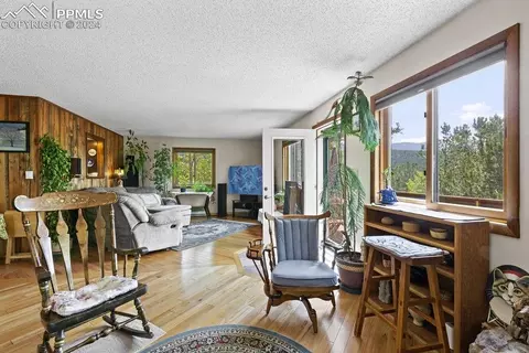 Living - 1040 Cantiberry Rd, Divide, CO 80814 photo 5 of 6