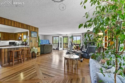 Other - 1040 Cantiberry Rd, Divide, CO 80814 photo 4 of 22