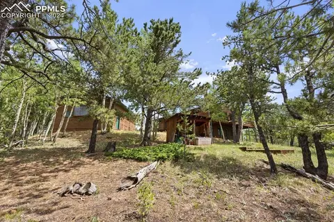 Other - 1040 Cantiberry Rd, Divide, CO 80814 photo 16 of 22