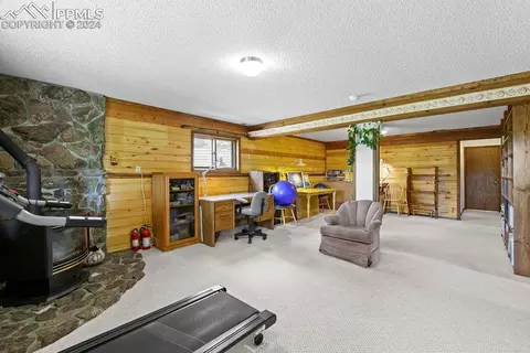 Other - 1040 Cantiberry Rd, Divide, CO 80814 photo 8 of 22