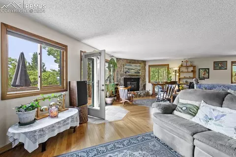 Living - 1040 Cantiberry Rd, Divide, CO 80814 photo 3 of 6