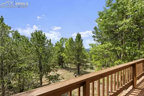 Exterior - 1040 Cantiberry Rd, Divide, CO 80814 photo 4 of 5