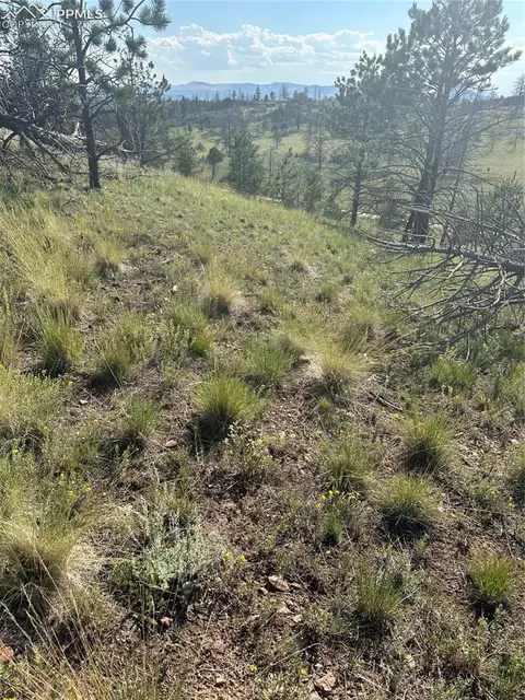 53 Chateau West Dr, Florissant, CO 80816
