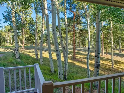 149 Joshua Rd, Divide, CO 80814 photo 4