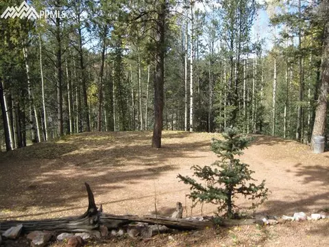 551 Calcite Dr, Divide, CO 80814 photo 17