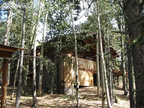 551 Calcite Dr, Divide, CO 80814 photo 5
