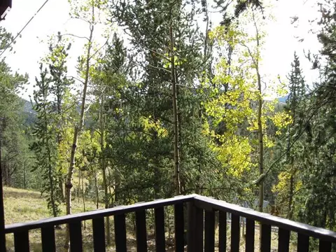 551 Calcite Dr, Divide, CO 80814 photo 14