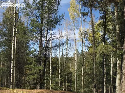 551 Calcite Dr, Divide, CO 80814 photo 18