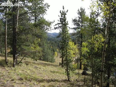 551 Calcite Dr, Divide, CO 80814 photo 15
