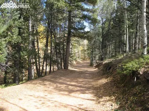 551 Calcite Dr, Divide, CO 80814 photo 19