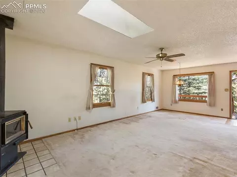 9905 Mountain Rd, Cascade, CO 80809 photo 4