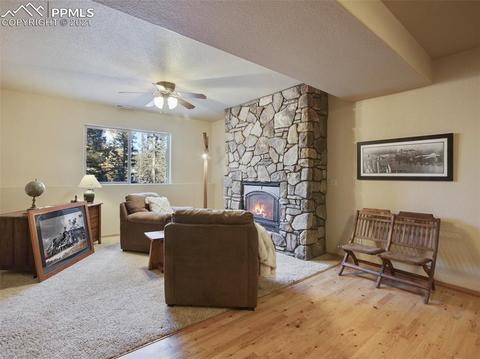 1645 Spring Valley Dr, Divide, CO 80814 photo 24