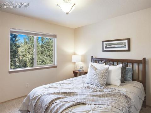 1645 Spring Valley Dr, Divide, CO 80814 photo 17